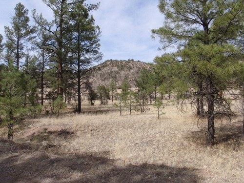 That far canyon wall has a creek with water.